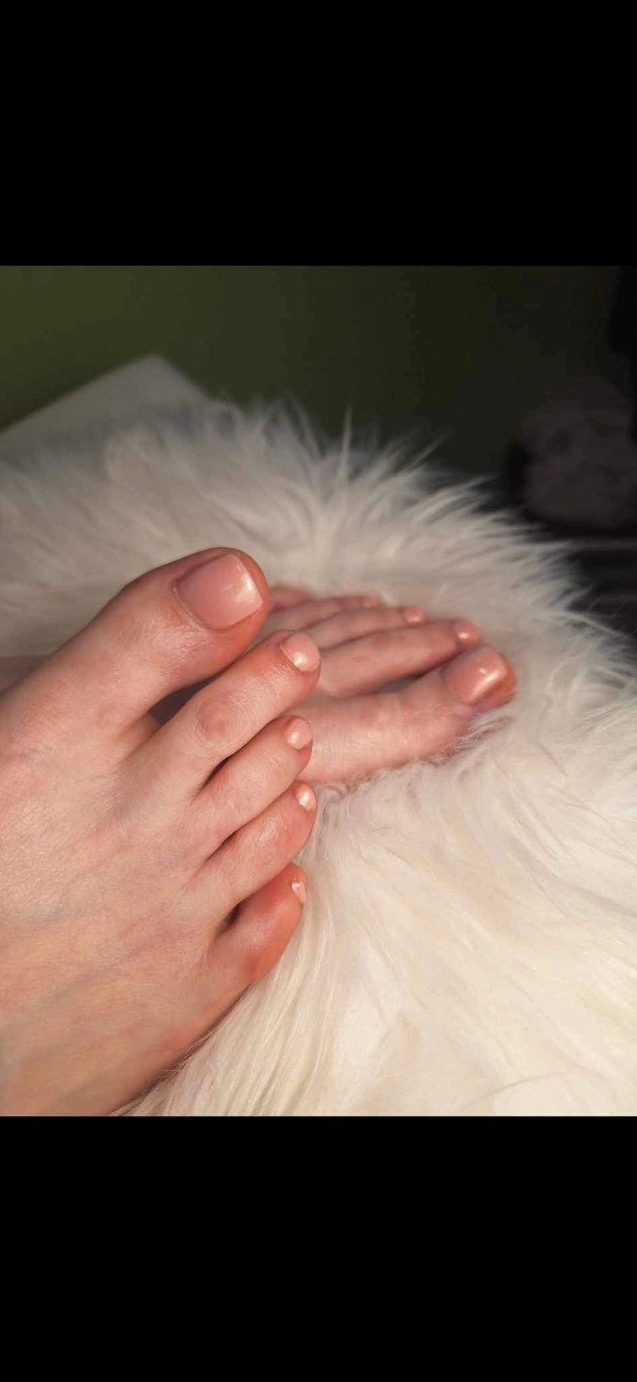 Nails by Kata pedikűr munka